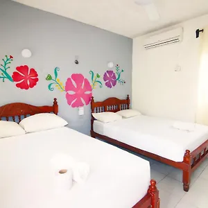 https://hotel-los-arcos-holbox.quintano-roohotels.com